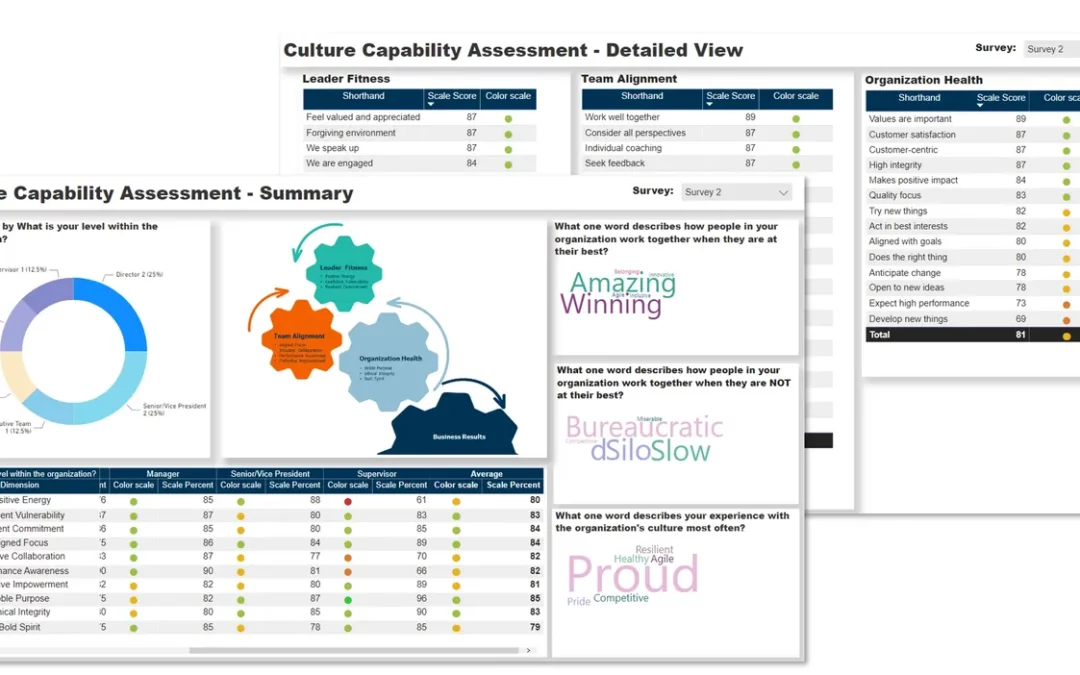 Culture Capability Assessment – Dashboards